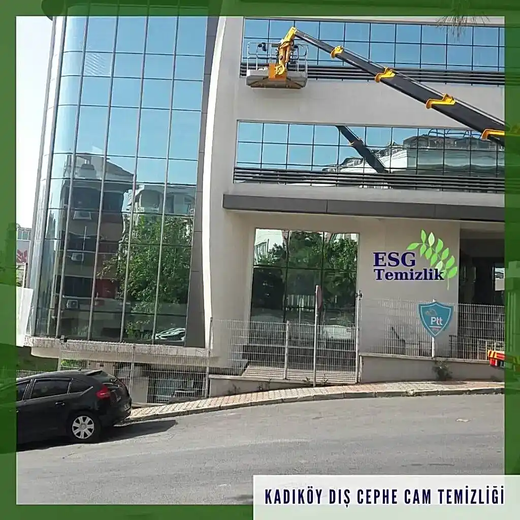 esg temzilik hizmetleri istanbul